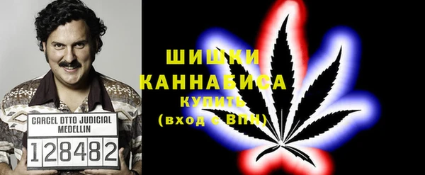 дмт Арсеньев