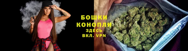 дмт Арсеньев