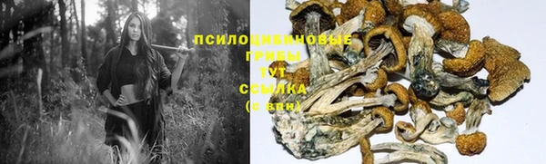 дмт Арсеньев